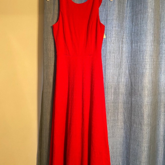 Jackie Ruffled Midi Dress - Picture 5 of 10